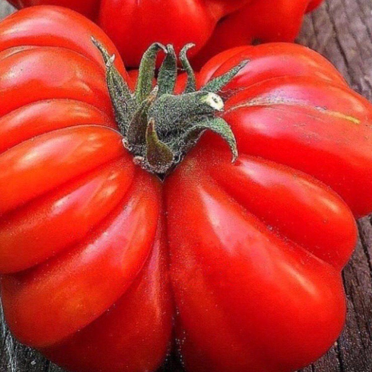 Afyon Tınaztepe Tomato Seed
