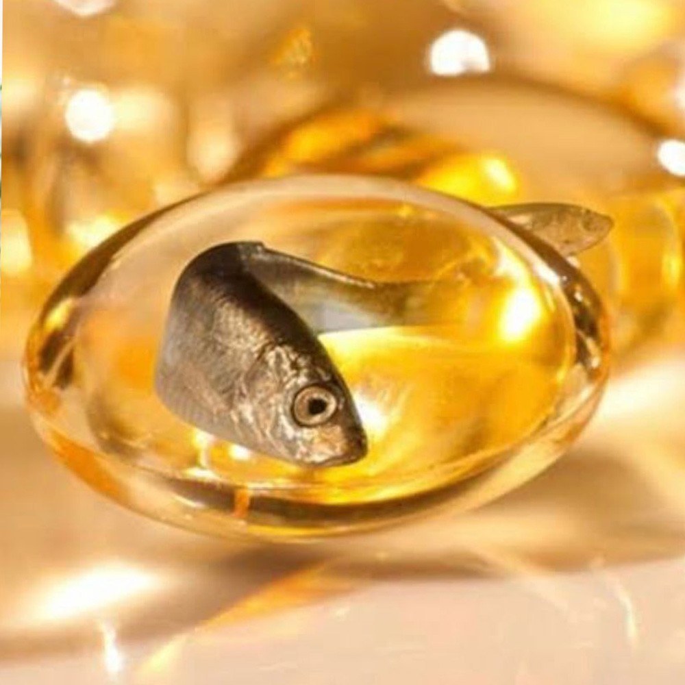 Trout Oil