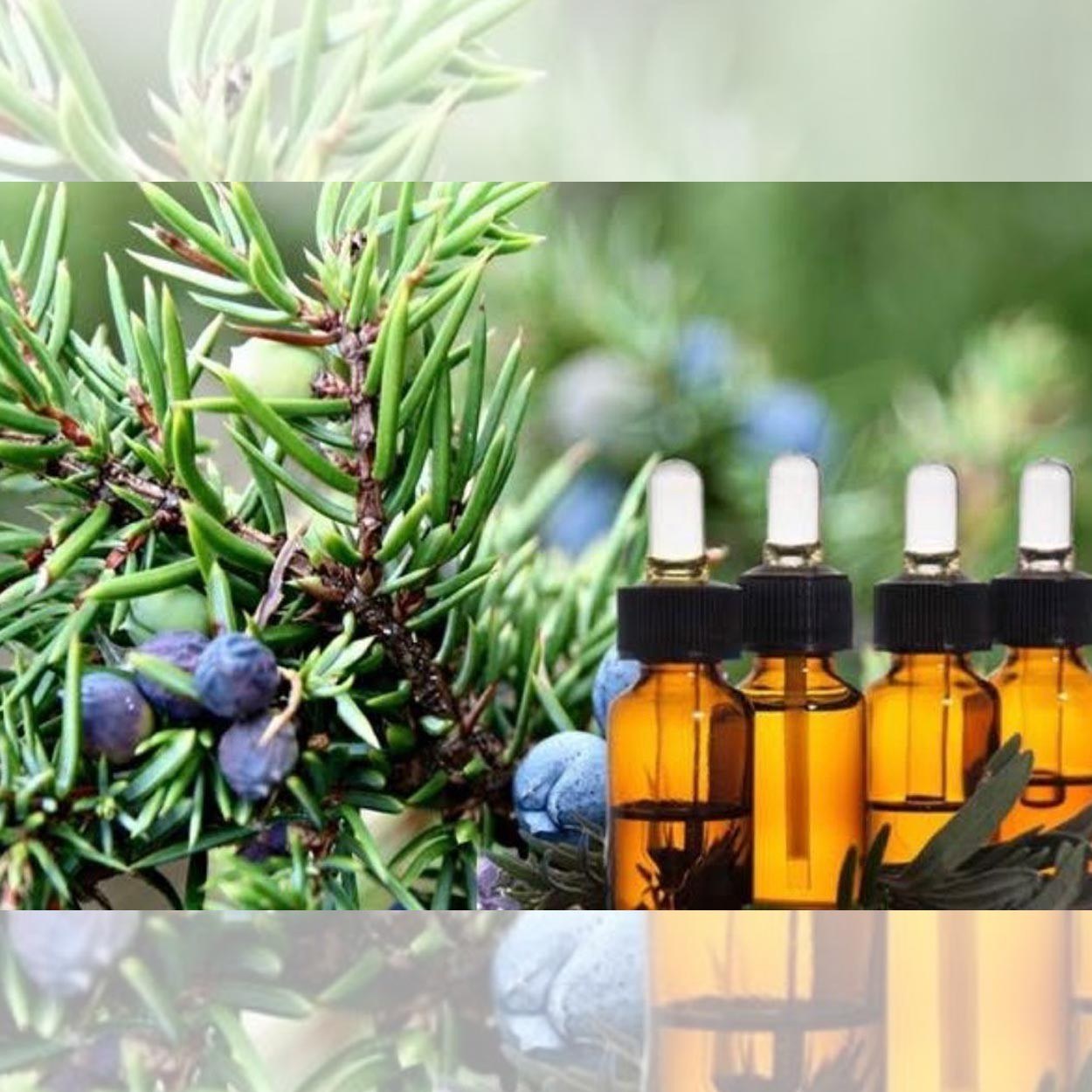 Juniper Oil
