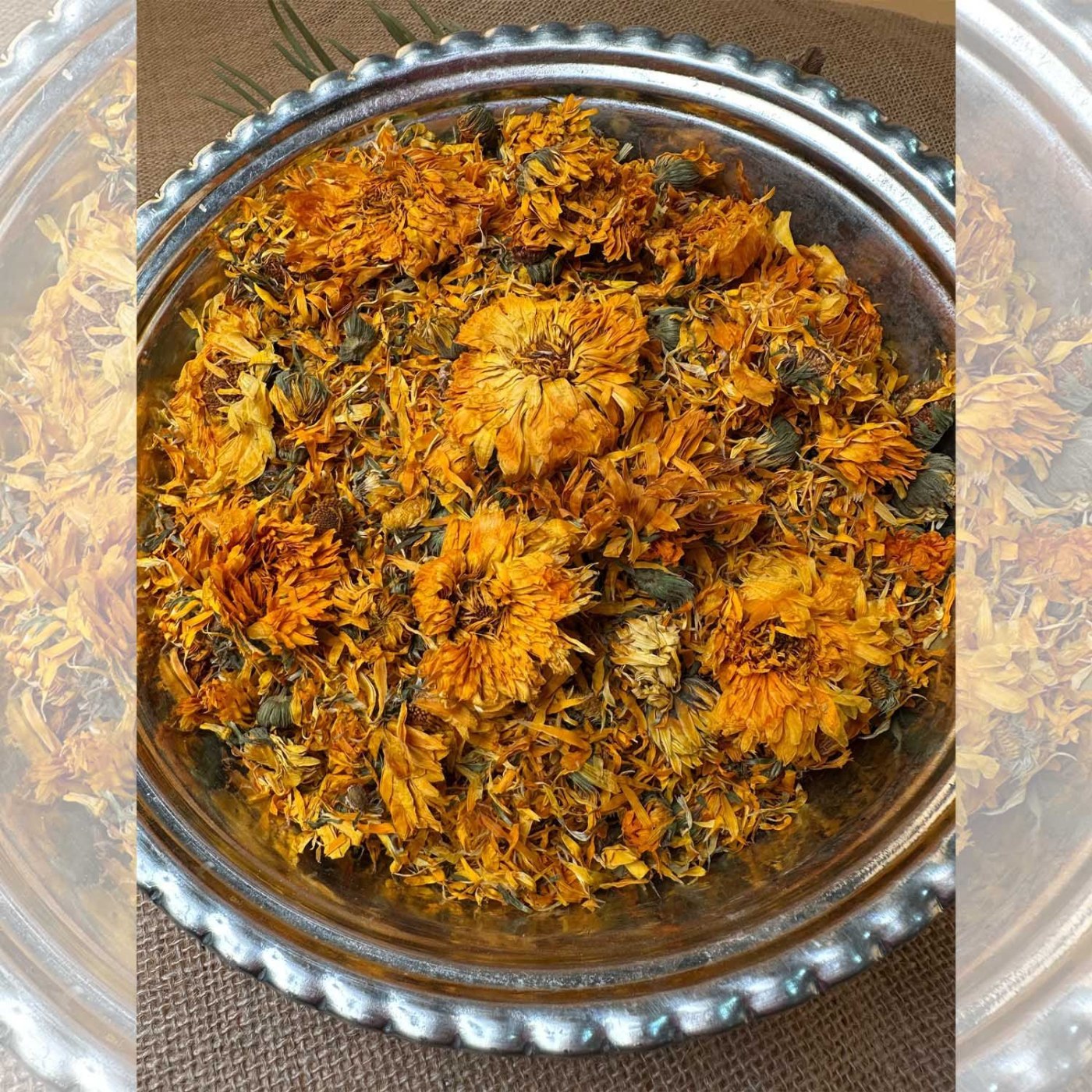 Calendula Flower