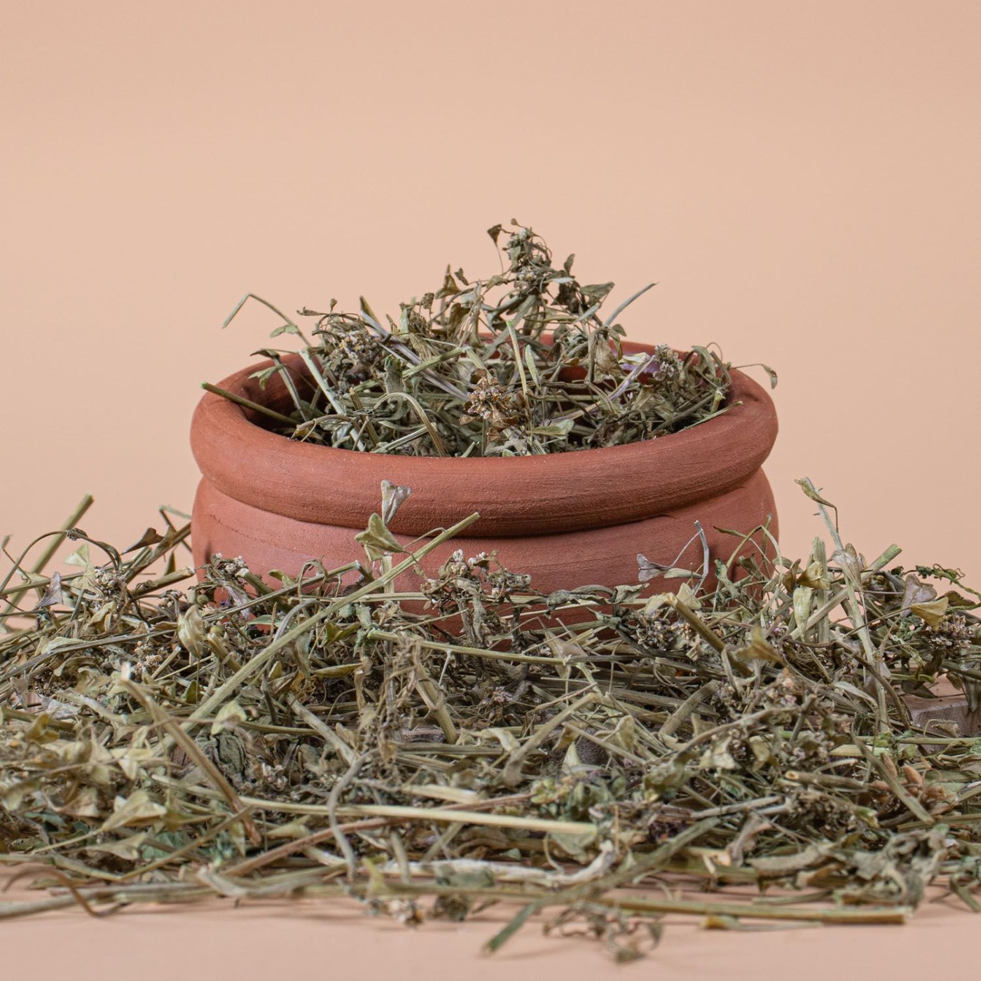 Shepherd’s Purse Herb