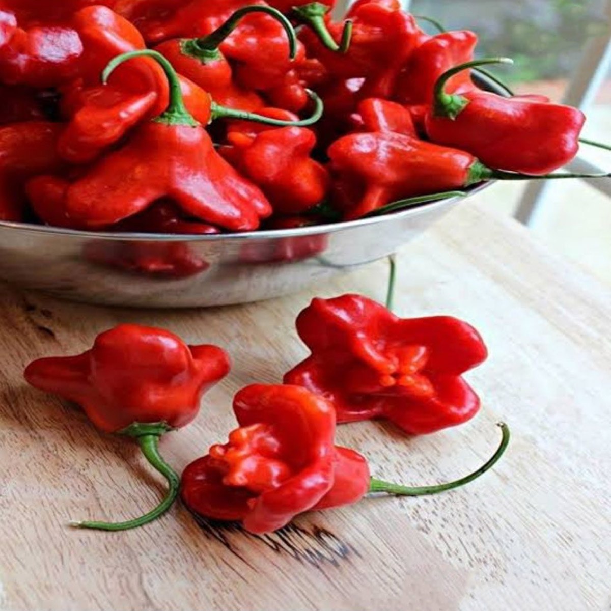 Rose Pepper Seed