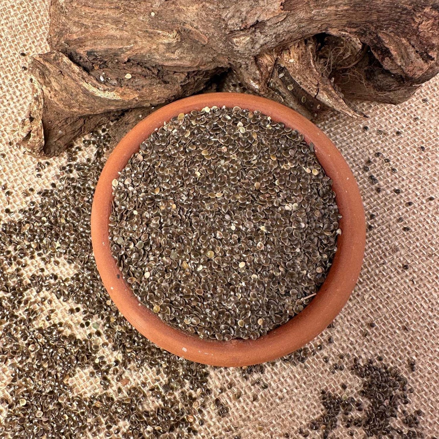 Nettle Seeds