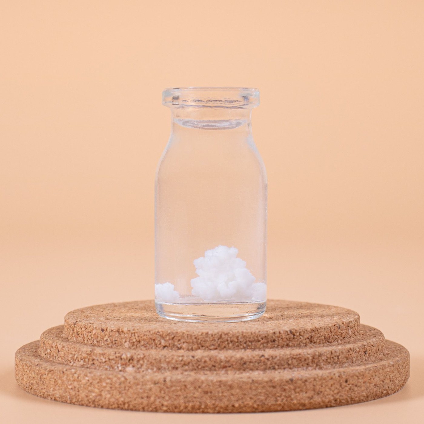 Kefir Yeast