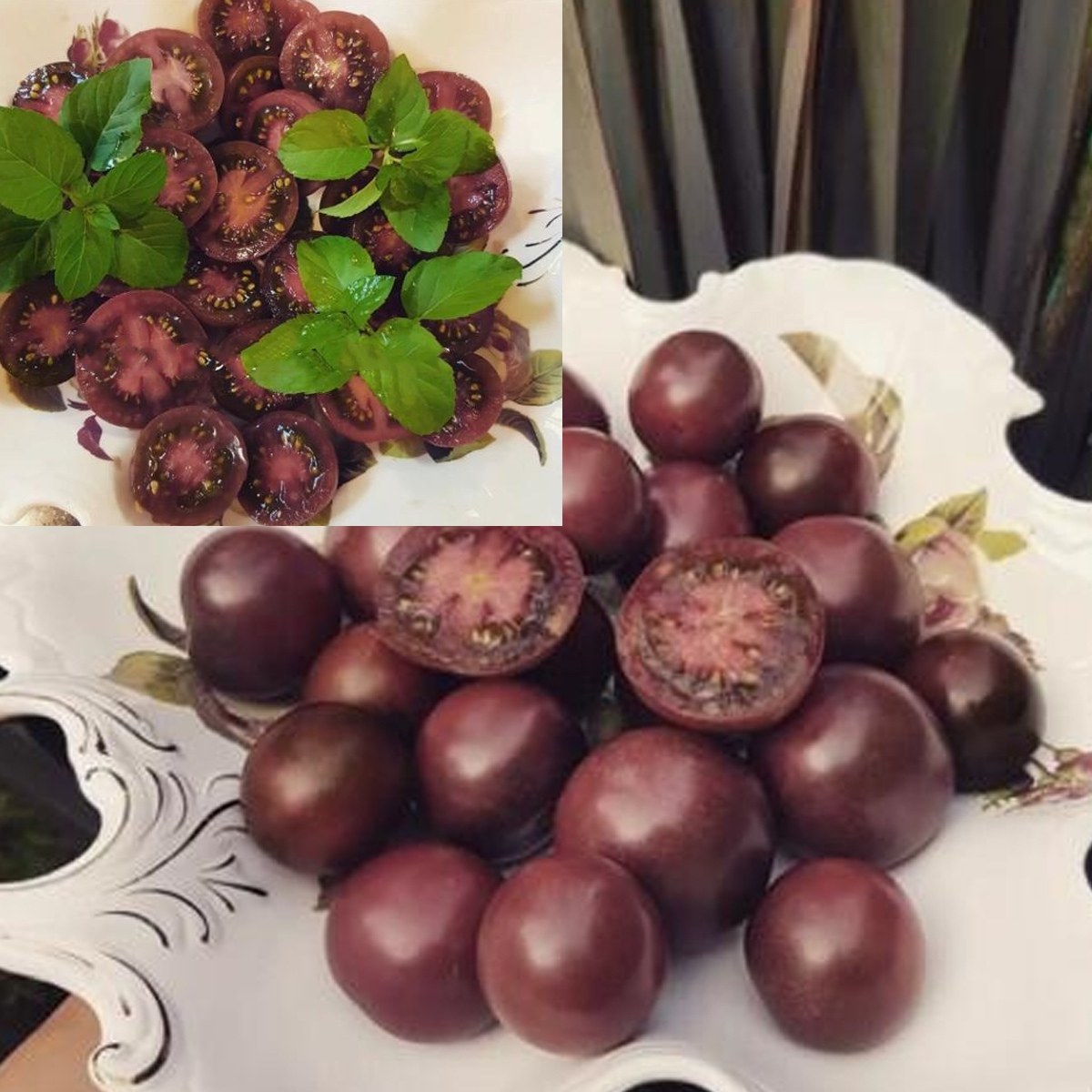 Purple Cherry Tomato Seed