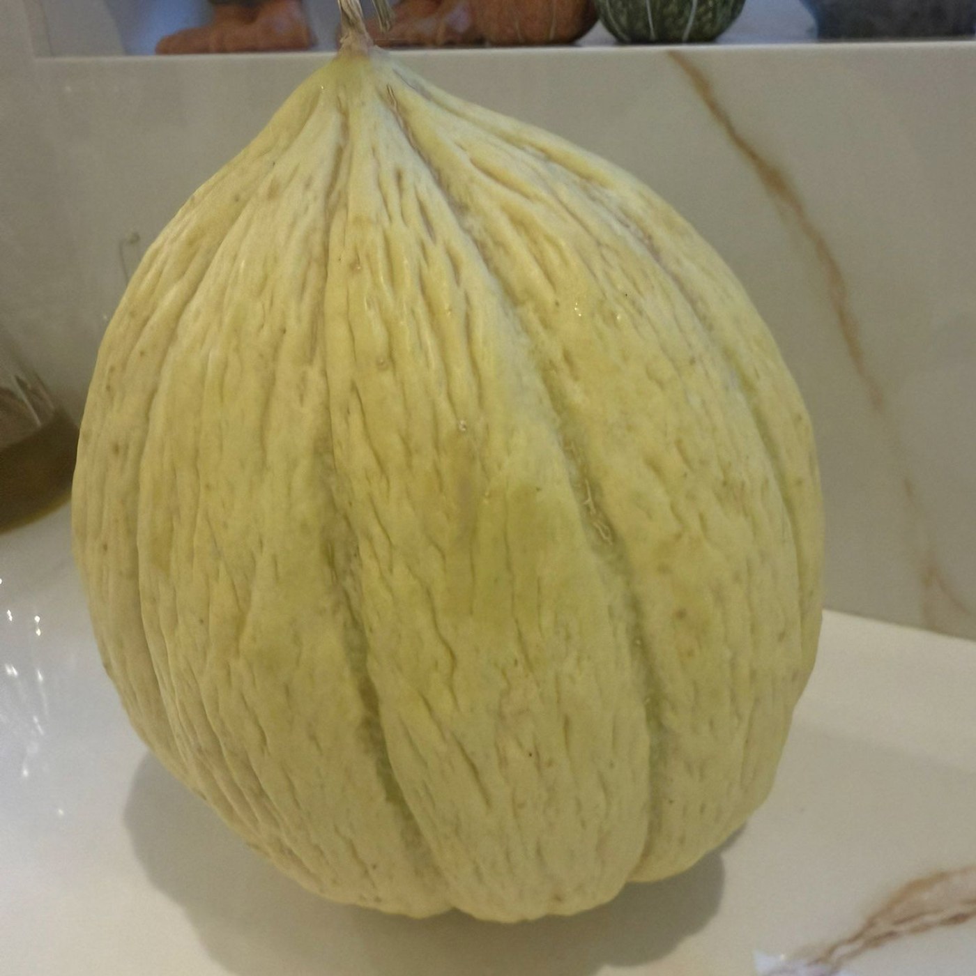 Ten Slice Melon Seed