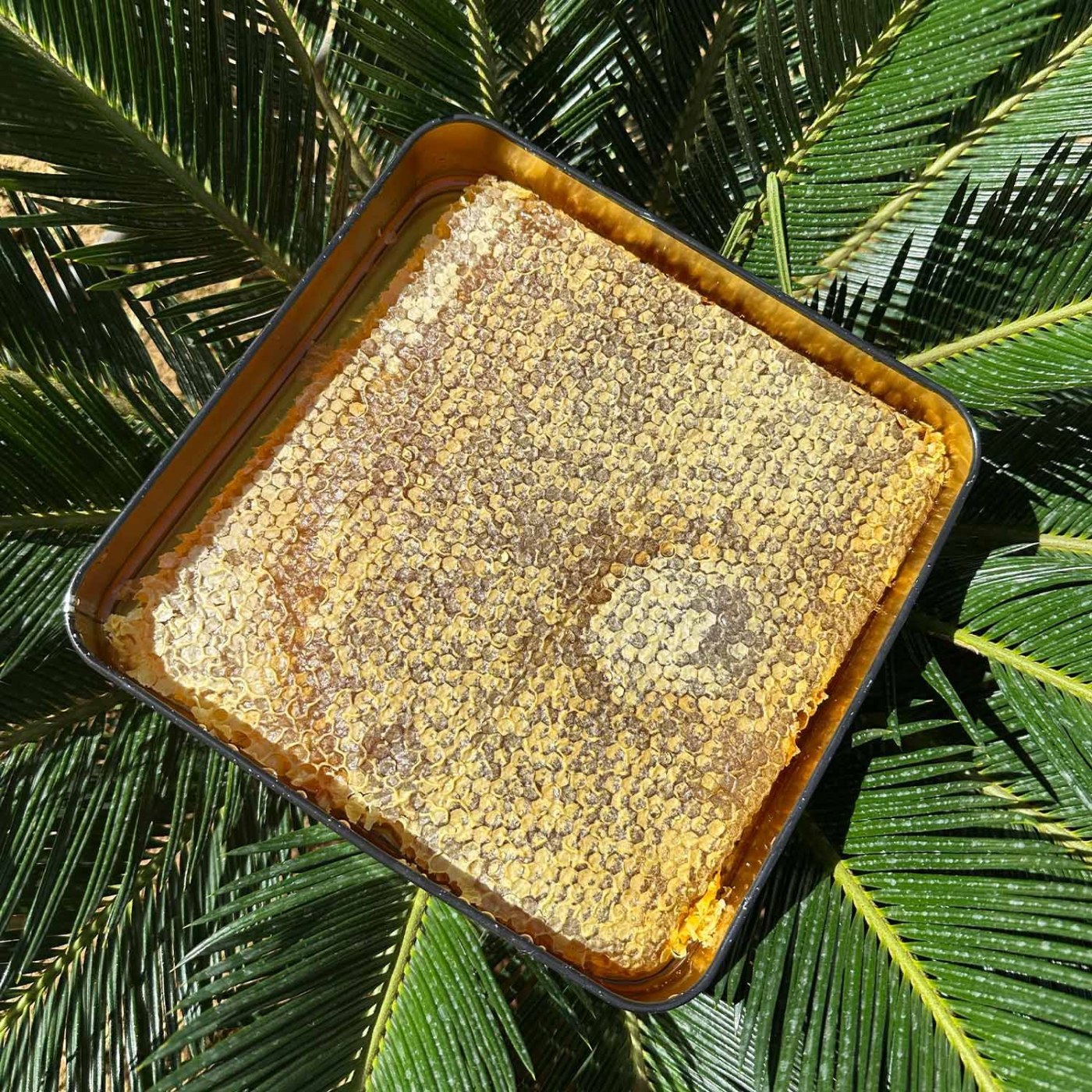 Honeycomb Honey