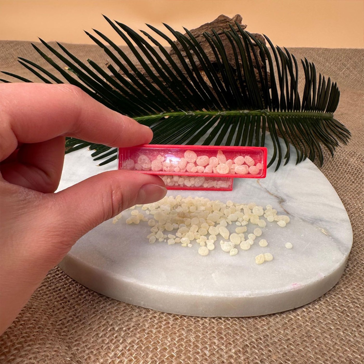Chios Mastic Gum