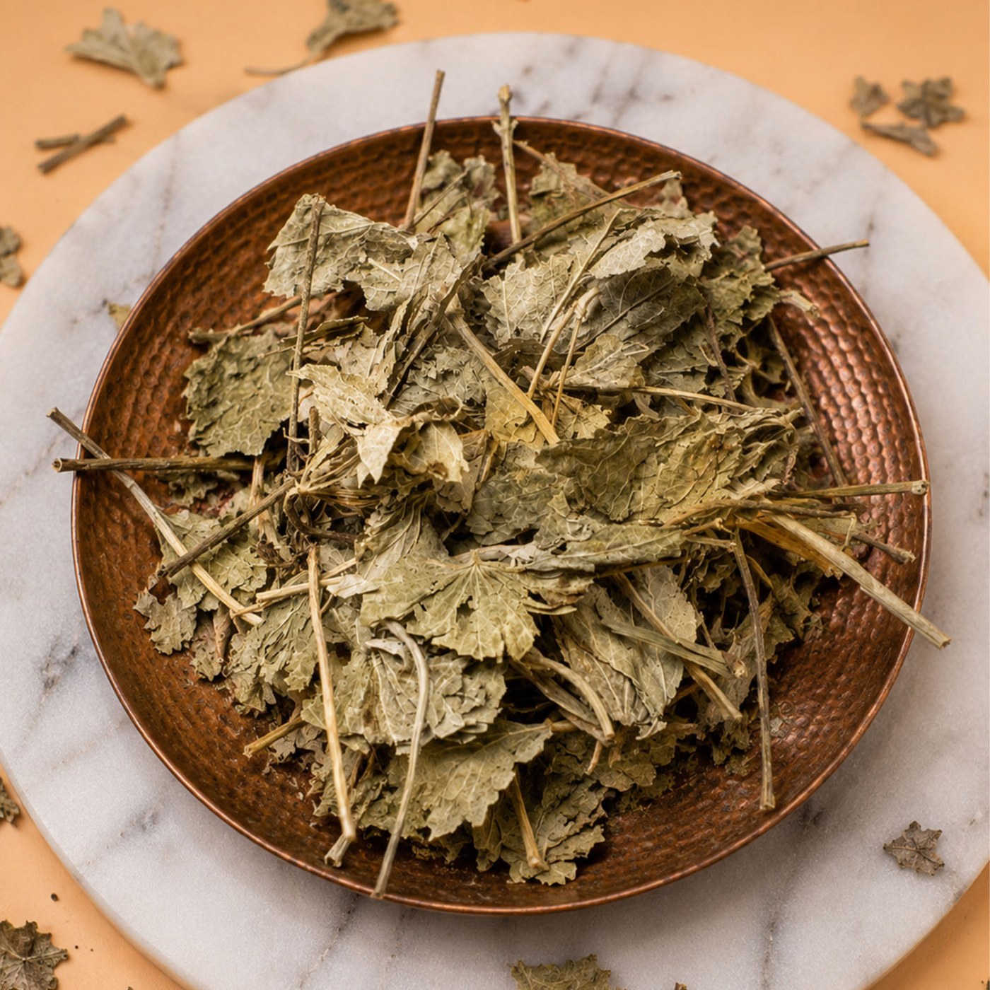 Serrated Ladys Mantle Herb