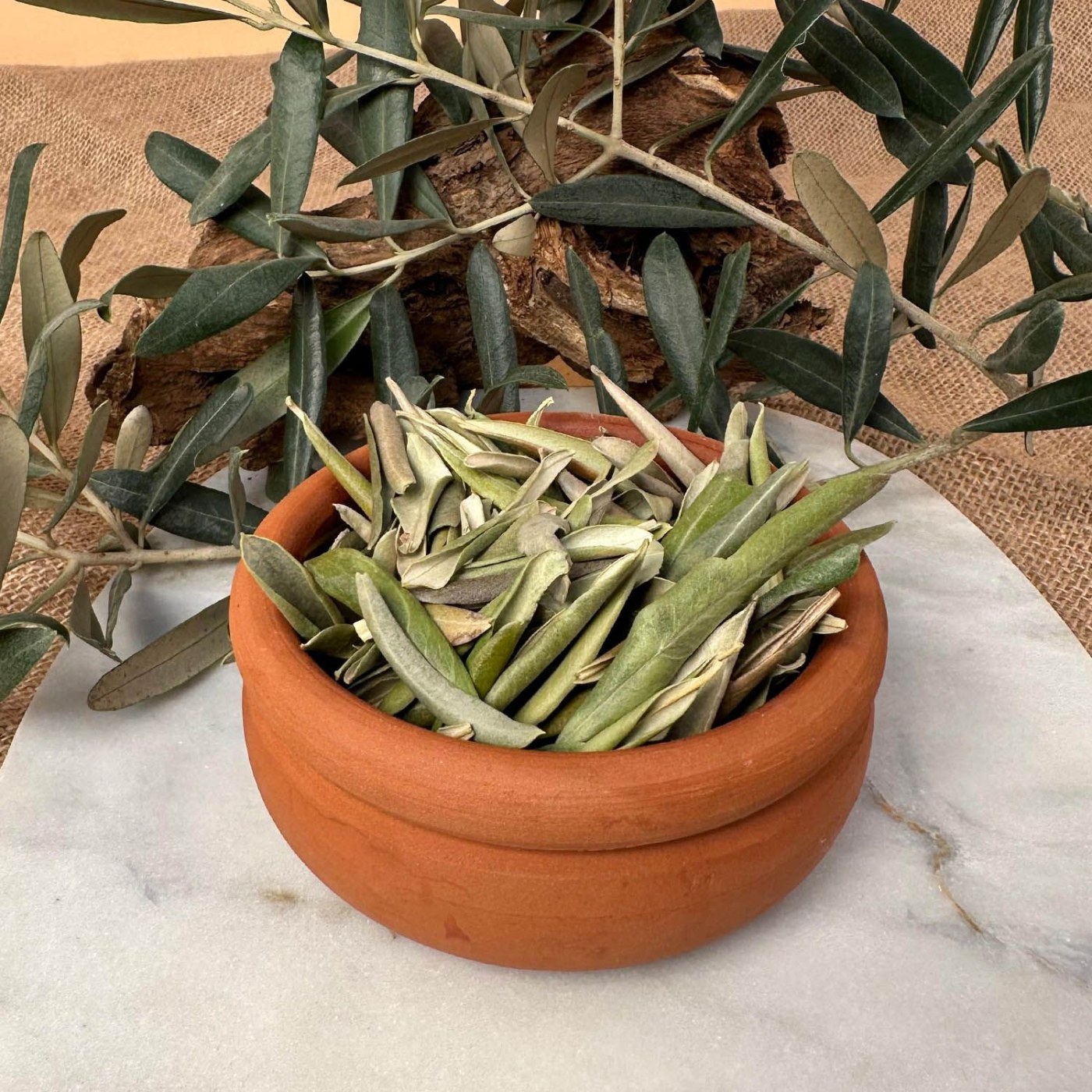Wild Olive Leaf