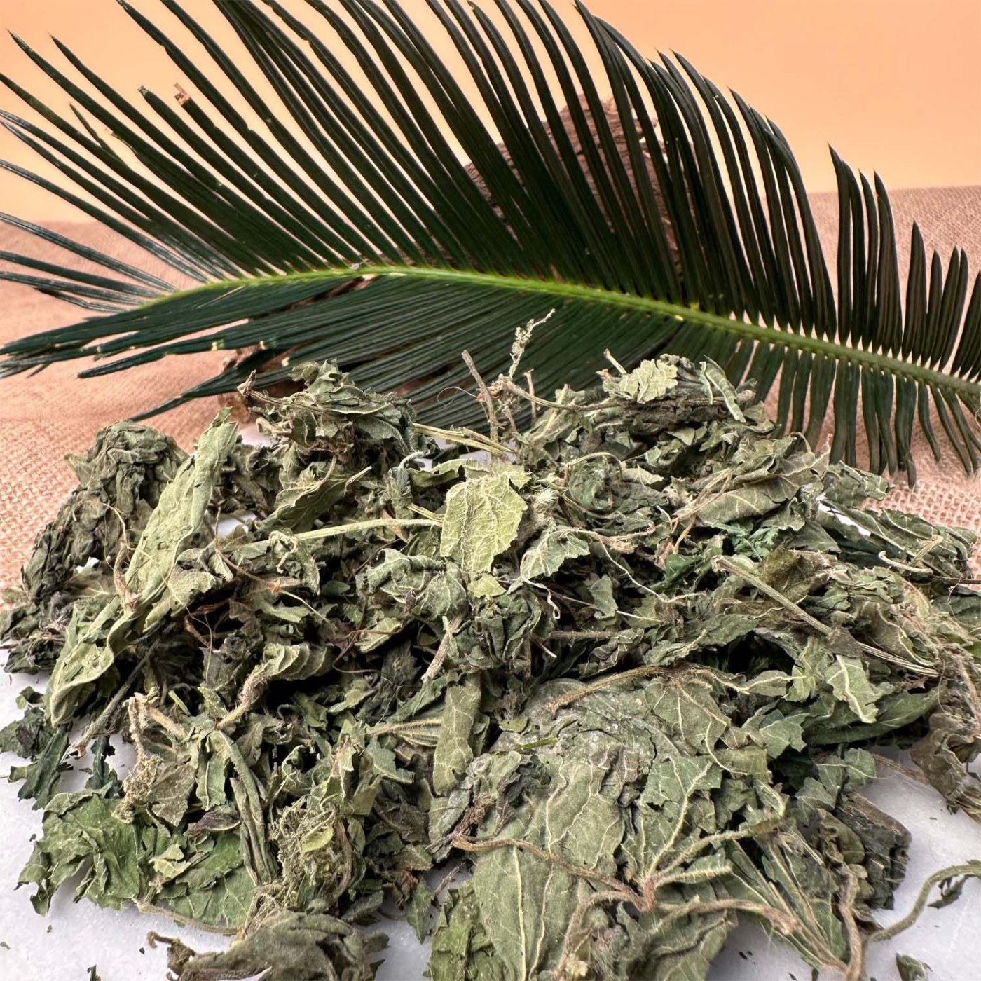 Wild Nettle Herb