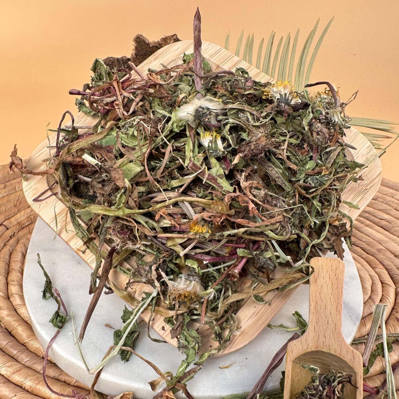 Fresh Harvest Dandelion