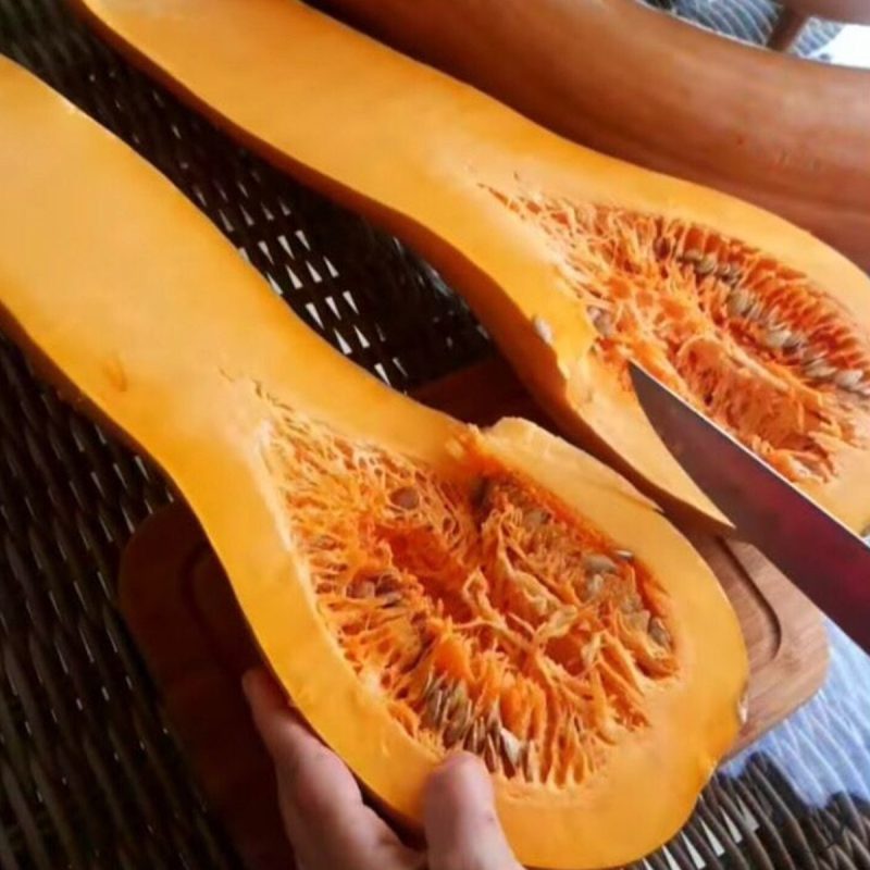 German Butternut Squash Seed