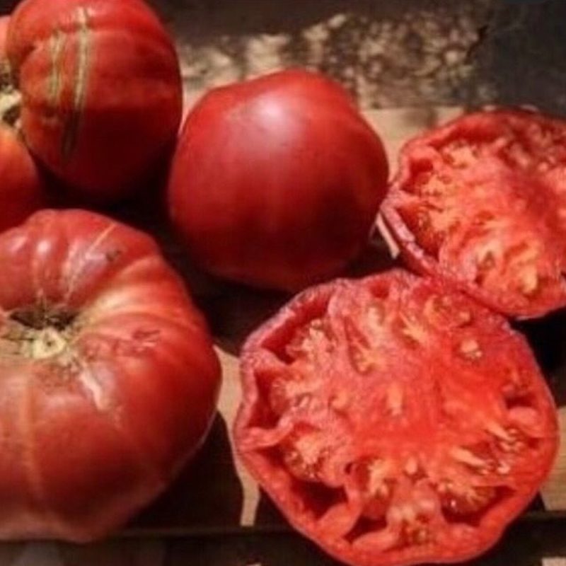Giant American Tomato Seed