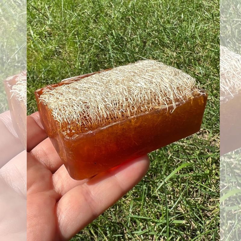 Doğal Lifli Ballı Sabun