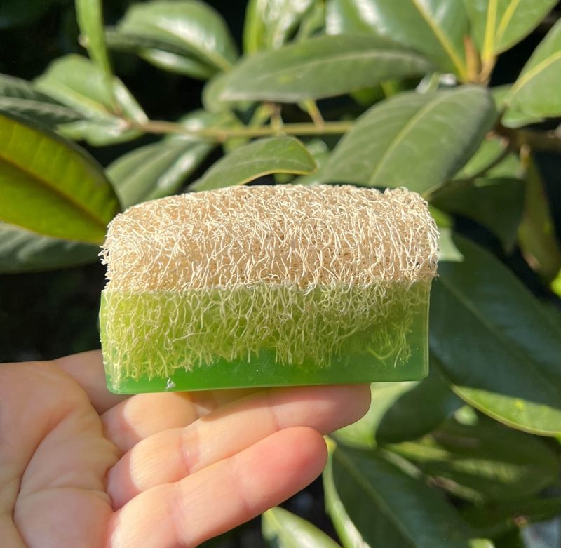 Doğal Lifli Jelli Aloeveralı Sabun