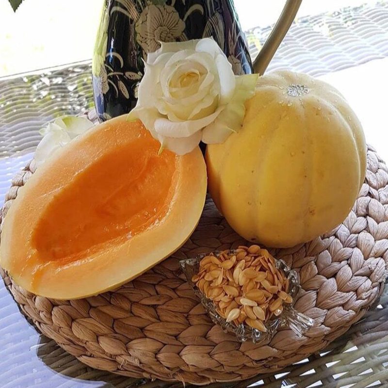Manisa Gönen Melon Seed