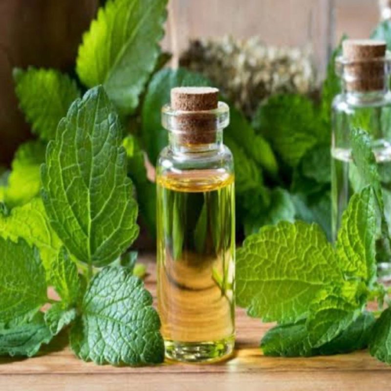 Lemon Balm Oil